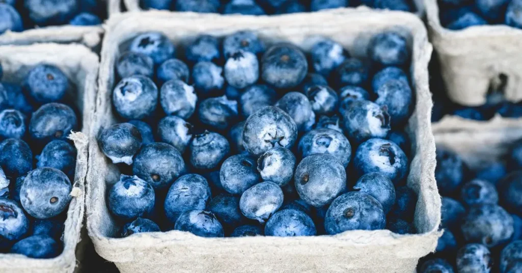 Nutrition Blueberries