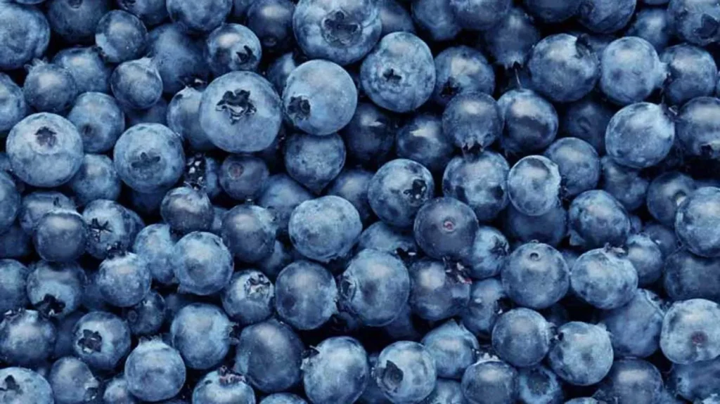 Nutrition Half Cup Blueberries