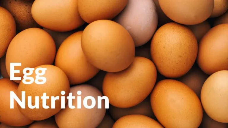 Nutrition In Eggs