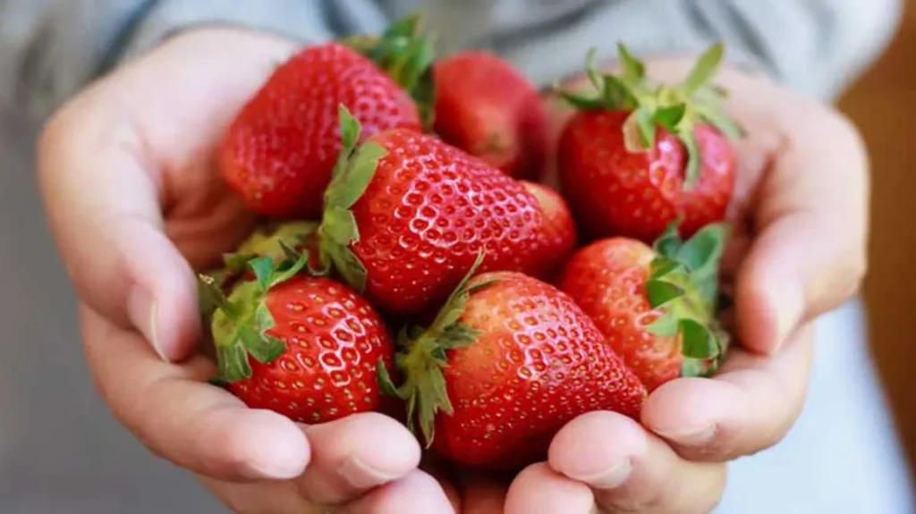 Nutrition In Strawberries