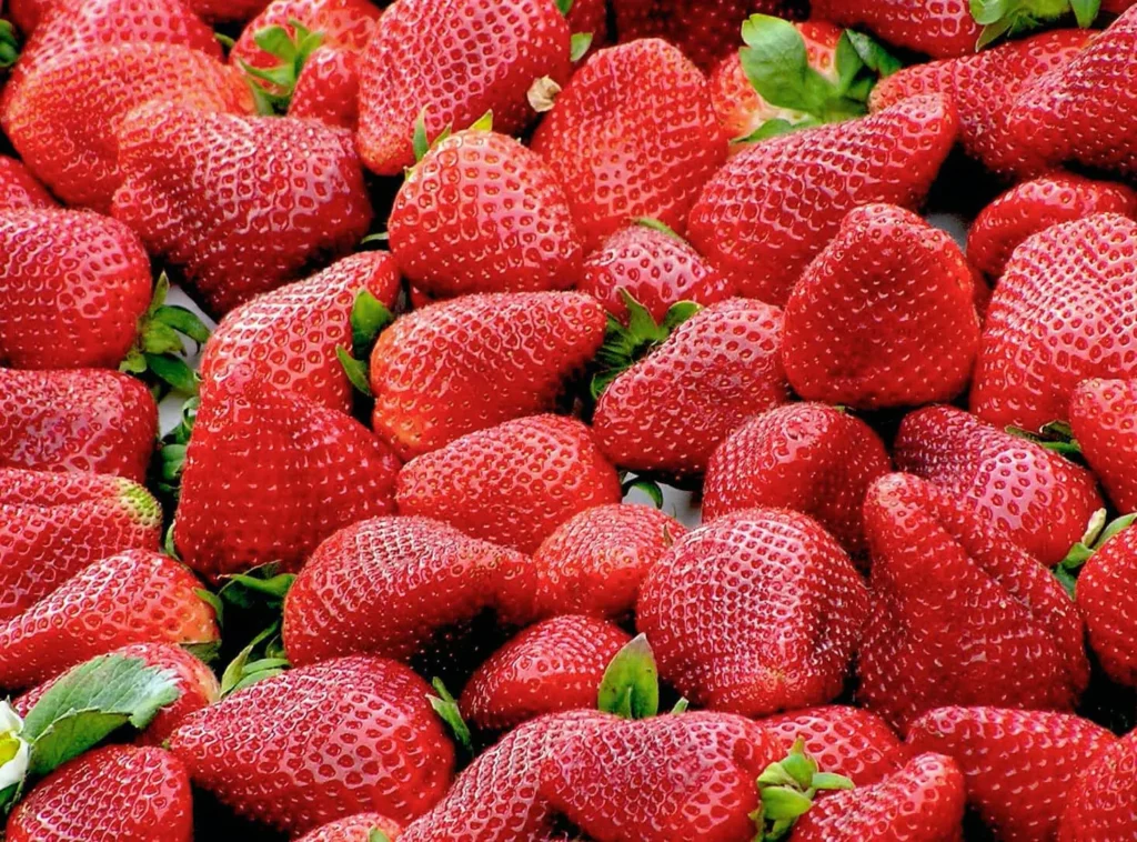 Nutrition In Strawberries