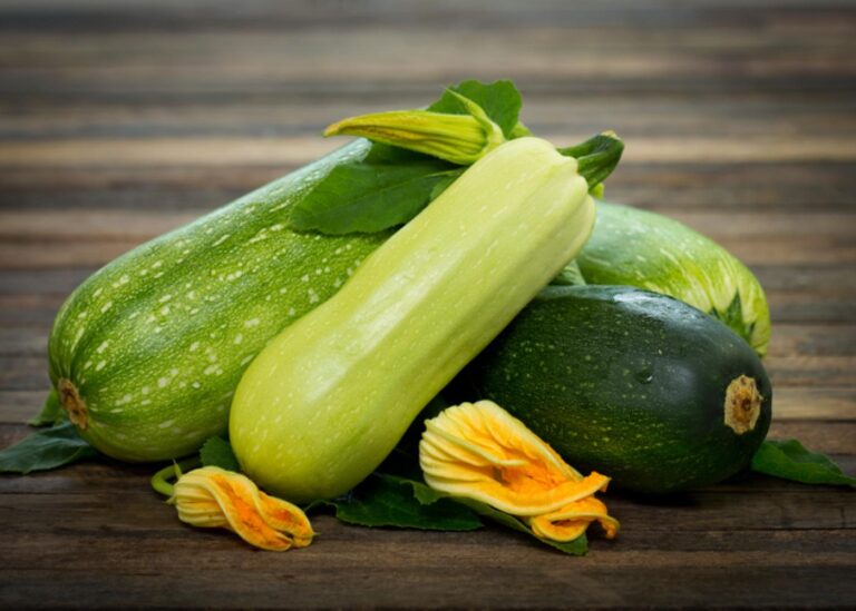 Nutrition of Zucchini: Facts and Health Benefits