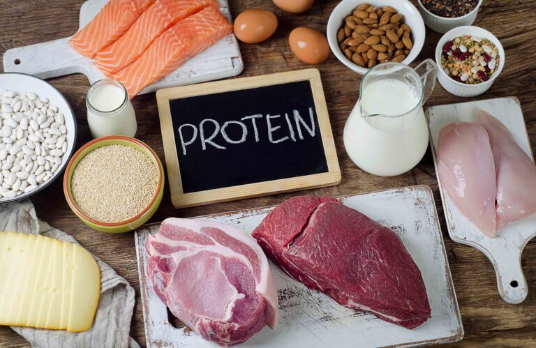 Everything You Need to Know About Protein Nutrition