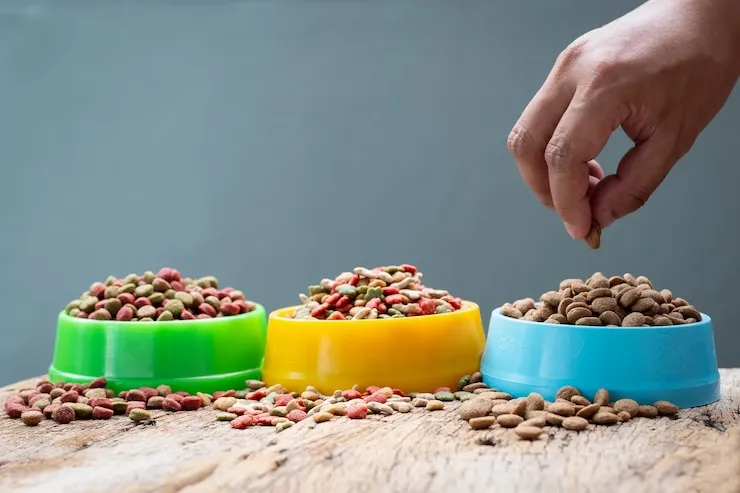 Dry Kibble or Wet Options