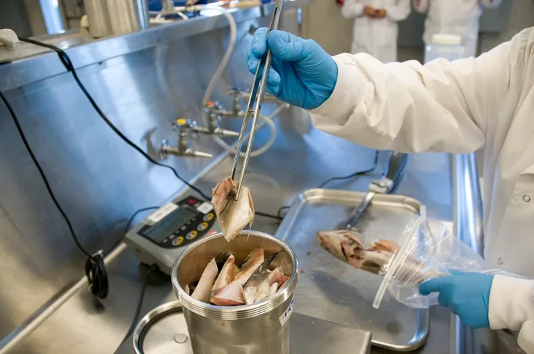 What Is the Best Way to Prevent Poor Food Safety