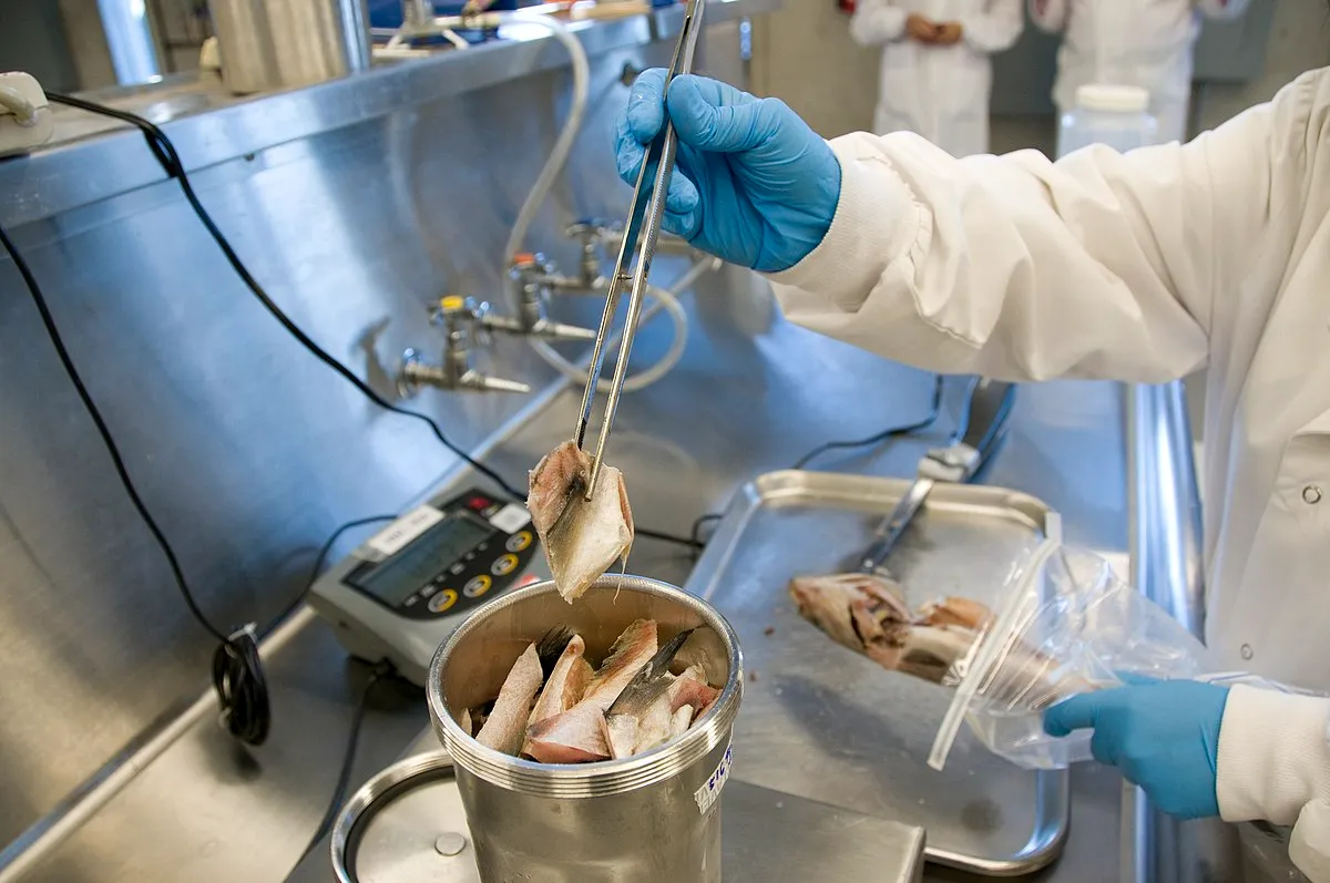 What Is the Best Way to Prevent Poor Food Safety