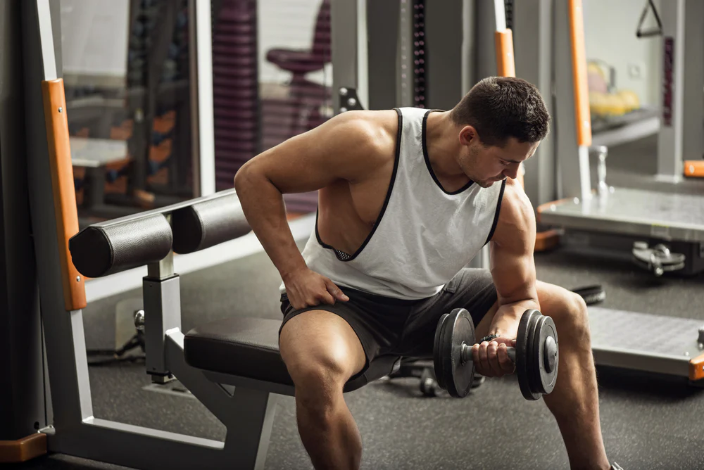 Biceps Workout