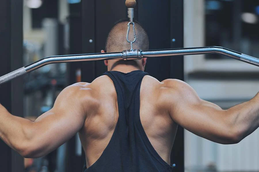 Chest and Back Workout