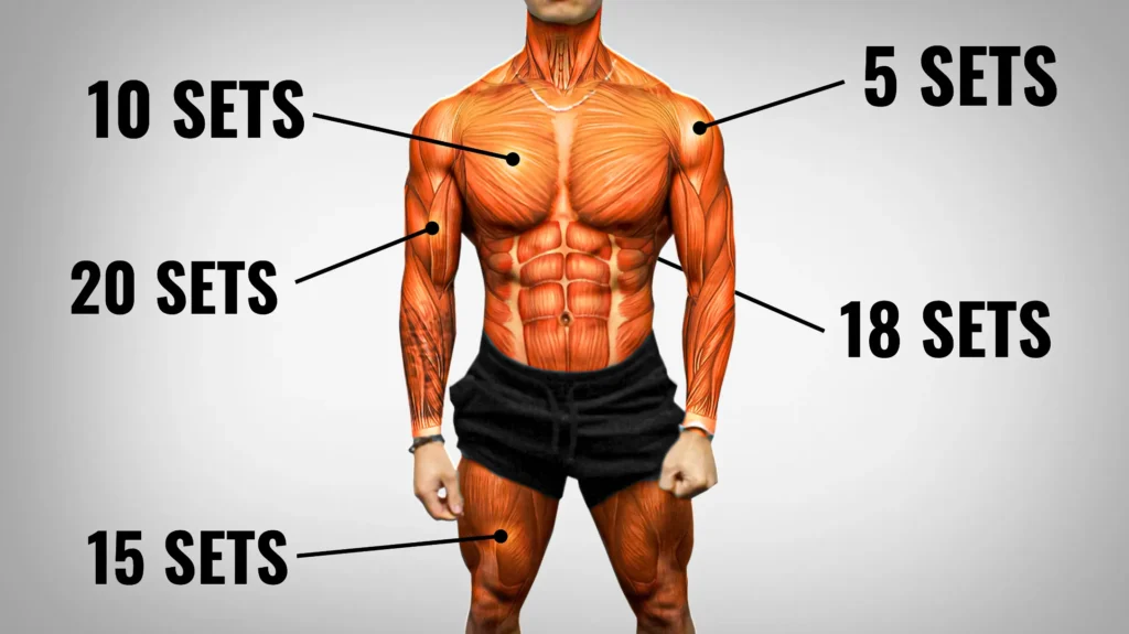How Many Exercises Per Workout?