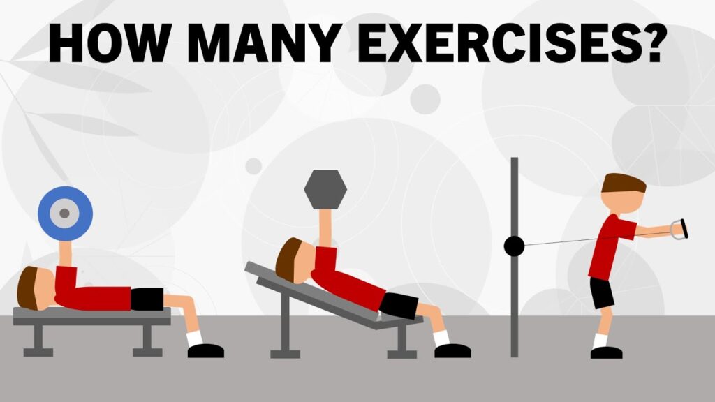 How Many Exercises Per Workout?
