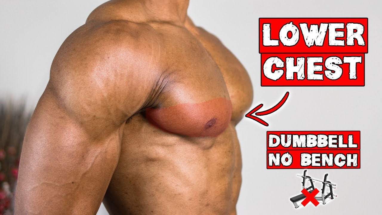 Lower Chest Workout