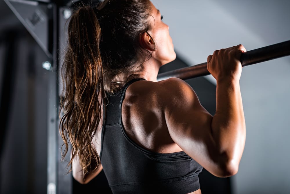 Pull Day Workout