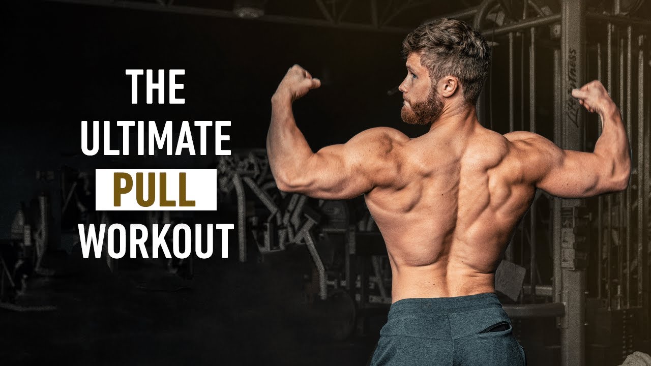 Pull Day Workout