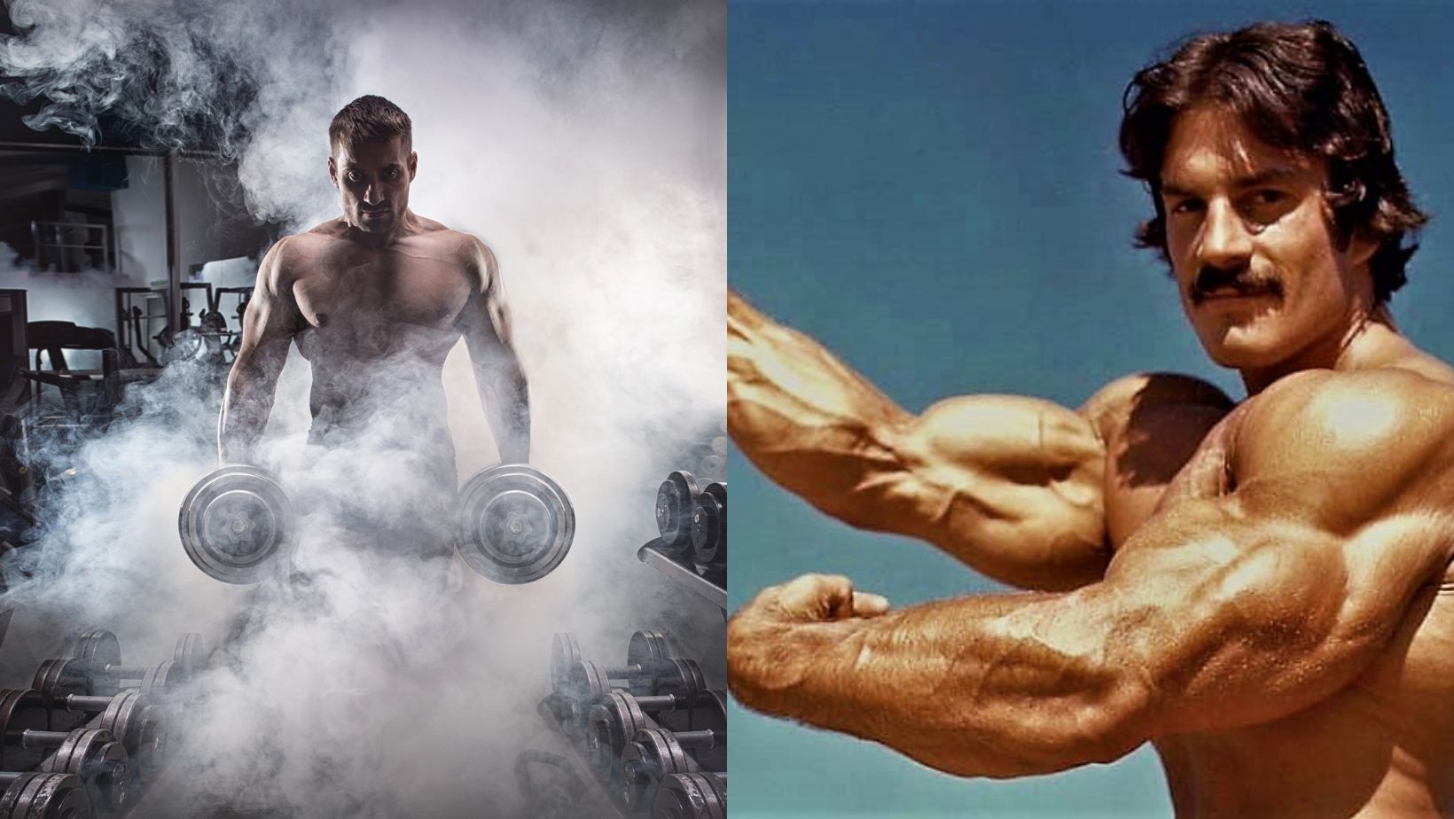 Mike Mentzer Workout Routine
