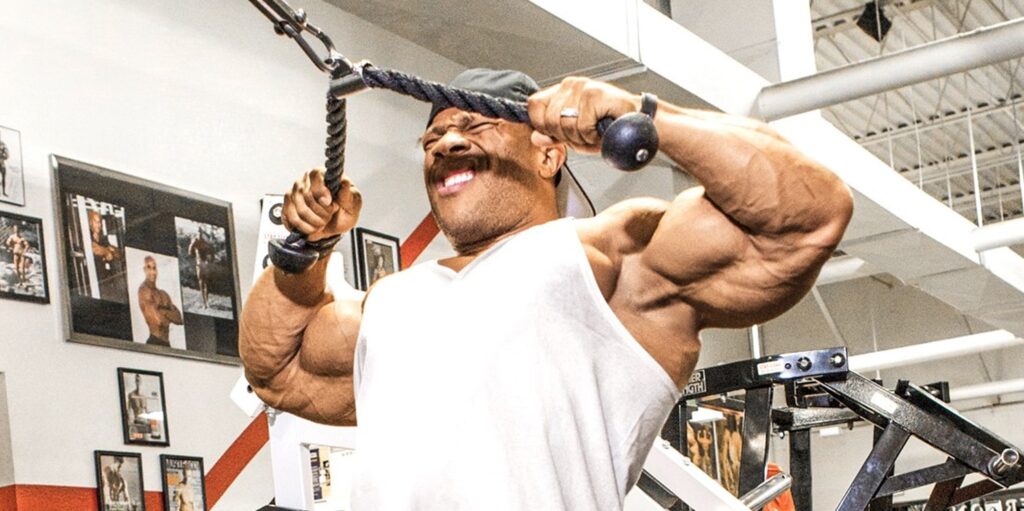 Face Pulls Workout