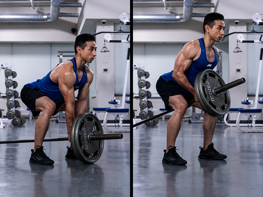 Traps Workout